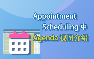 Appointment Scheduling 中 Agenda 视图介绍